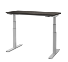 Load image into Gallery viewer, upCentric 2LV Electric Height Adjustable Table