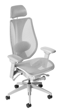 Load image into Gallery viewer, tCentric Hybrid with Mesh Backrest and Seat, Synchro Glide Mechanism, Light Grey Frame
