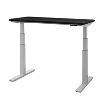 Load image into Gallery viewer, upCentric 2LV Electric Height Adjustable Table
