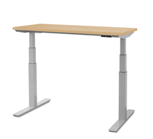 Load image into Gallery viewer, upCentric 2LV Electric Height Adjustable Table
