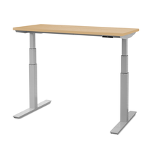 Load image into Gallery viewer, upCentric 2LV Electric Height Adjustable Table
